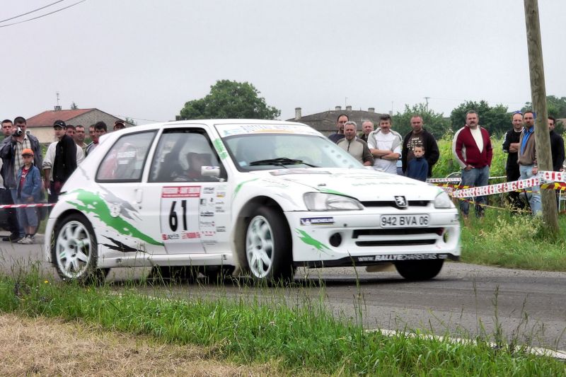 Terriere M 1.jpg