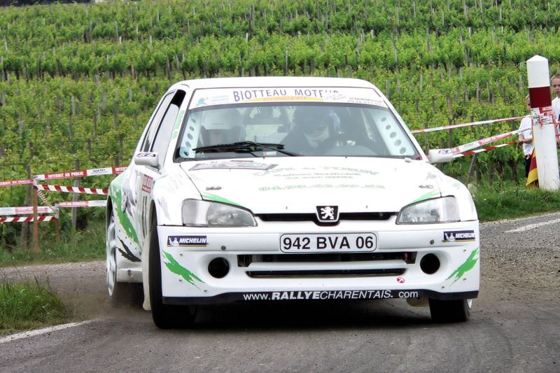 Terriere M 2.jpg
